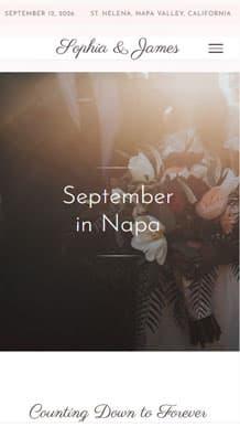 BlueSpark mobile website preview