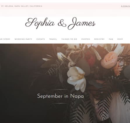 Featured project screenshot for BlueSpark theme development